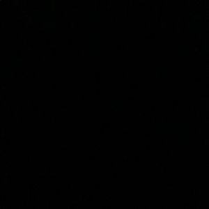 Meet your Posher, Precie